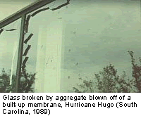 Glass broken by blown aggregate. Hurricane Hugo (S. Carolina 1989)